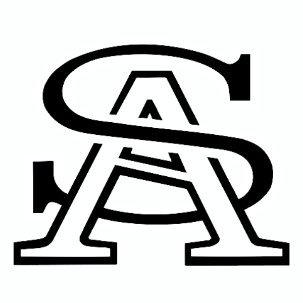 St. Anne Community High School District 302